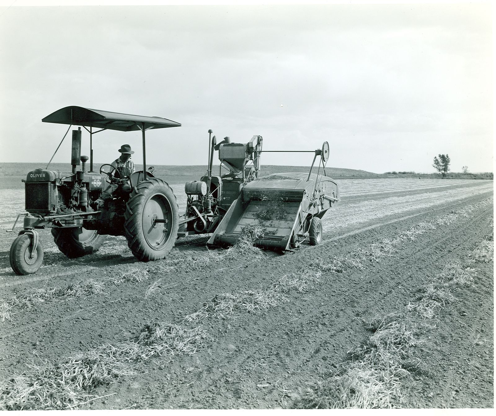 Farm Life - Early 1900's