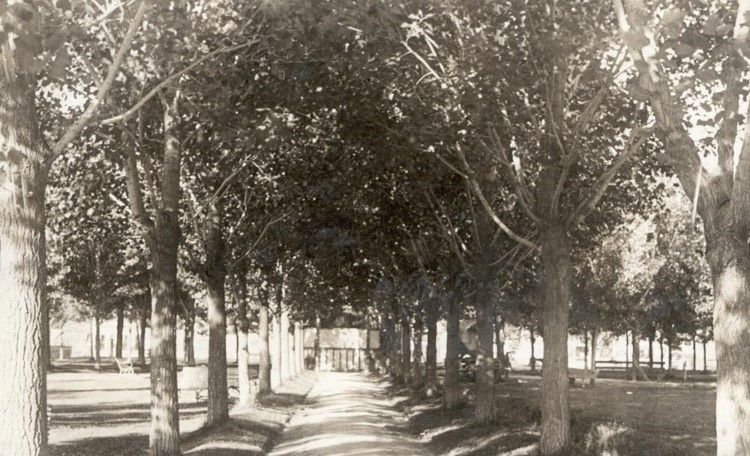 Rupert Square with Original Poplar Trees - 1918