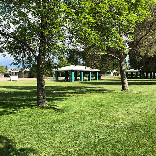 Neptune Park